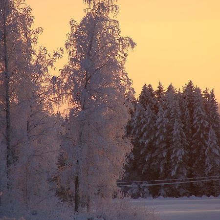 Villa Tiirinkallio Nilsiä Pokój zdjęcie