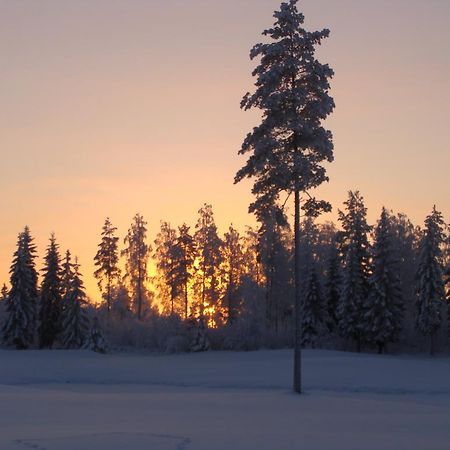 Villa Tiirinkallio Nilsiä Pokój zdjęcie