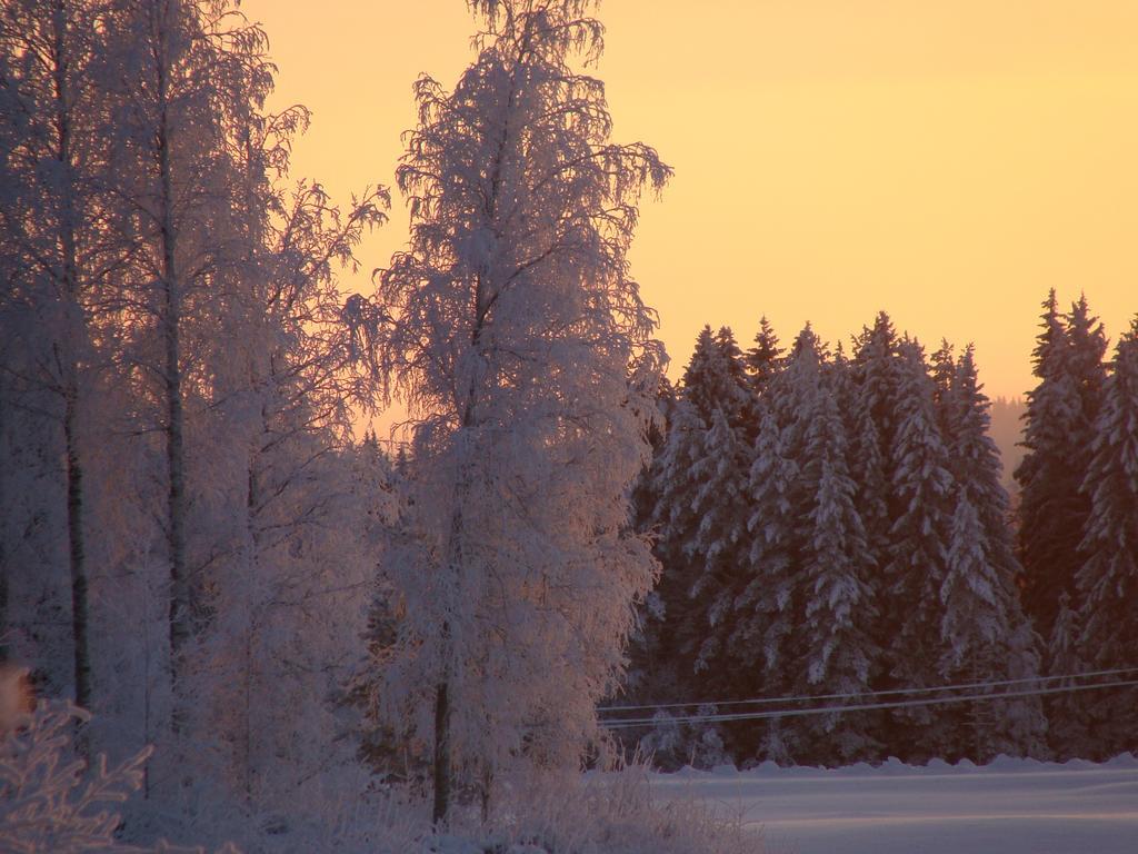 Villa Tiirinkallio Nilsiä Pokój zdjęcie