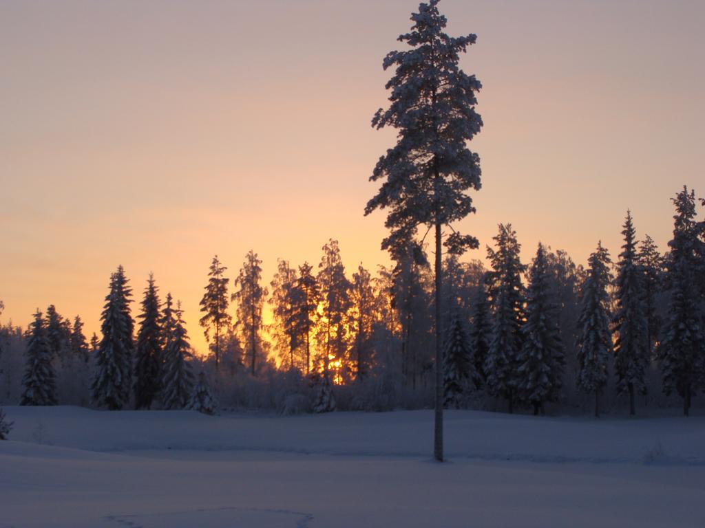 Villa Tiirinkallio Nilsiä Pokój zdjęcie