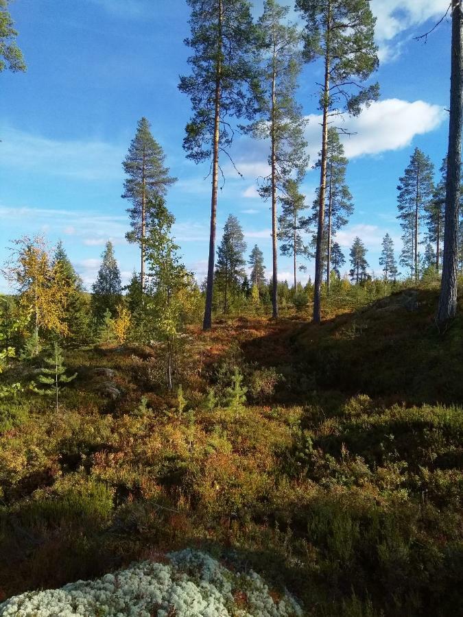 Villa Tiirinkallio Nilsiä Zewnętrze zdjęcie