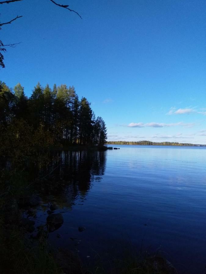 Villa Tiirinkallio Nilsiä Zewnętrze zdjęcie