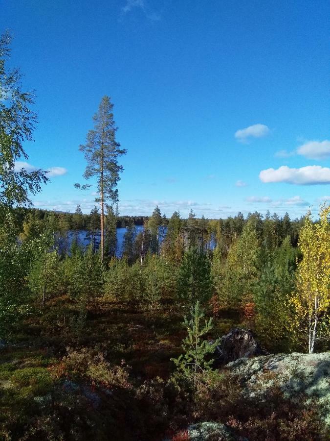 Villa Tiirinkallio Nilsiä Zewnętrze zdjęcie