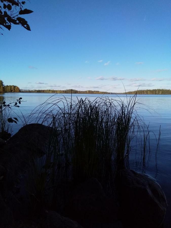 Villa Tiirinkallio Nilsiä Zewnętrze zdjęcie