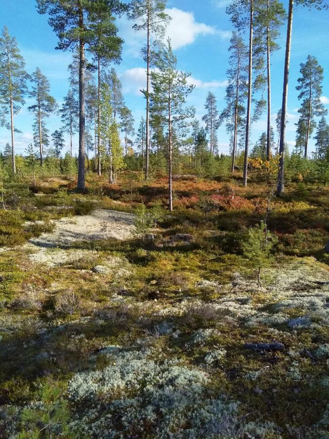 Villa Tiirinkallio Nilsiä Zewnętrze zdjęcie
