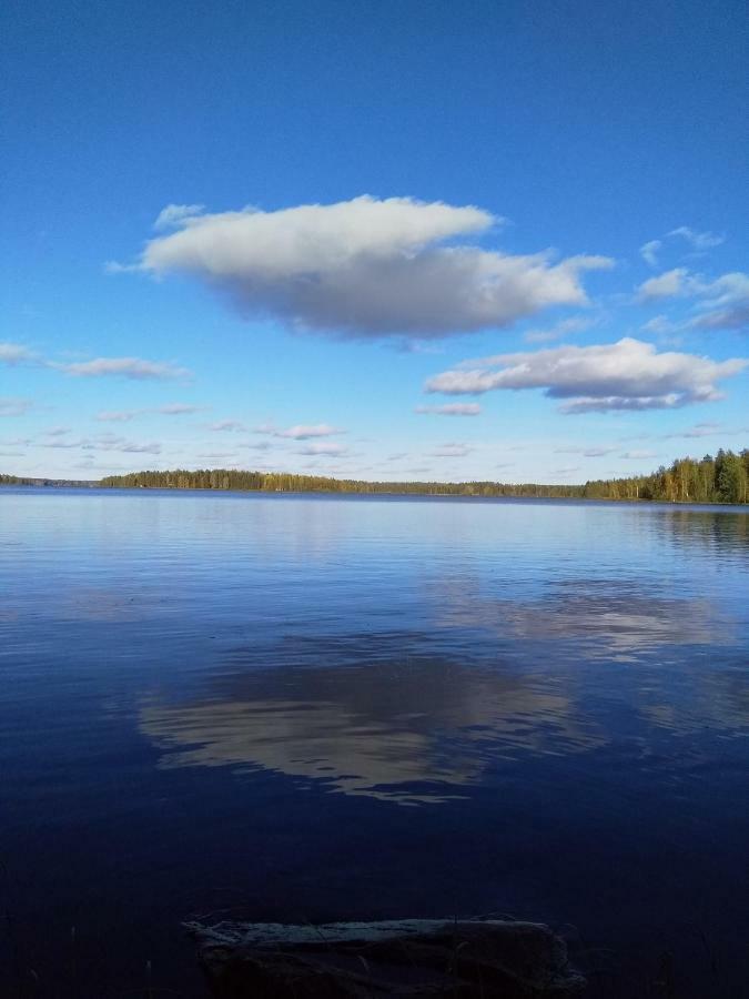 Villa Tiirinkallio Nilsiä Zewnętrze zdjęcie