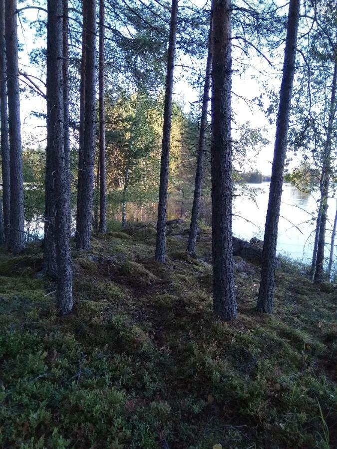 Villa Tiirinkallio Nilsiä Zewnętrze zdjęcie