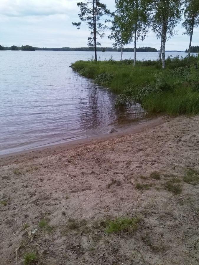 Villa Tiirinkallio Nilsiä Zewnętrze zdjęcie